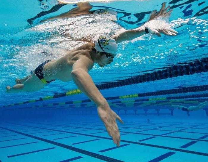 Bơi sải là bài tập thông dụng nhất của những người tập bơi