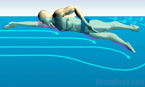 Kỹ thuật nổi thân khi bơi sải